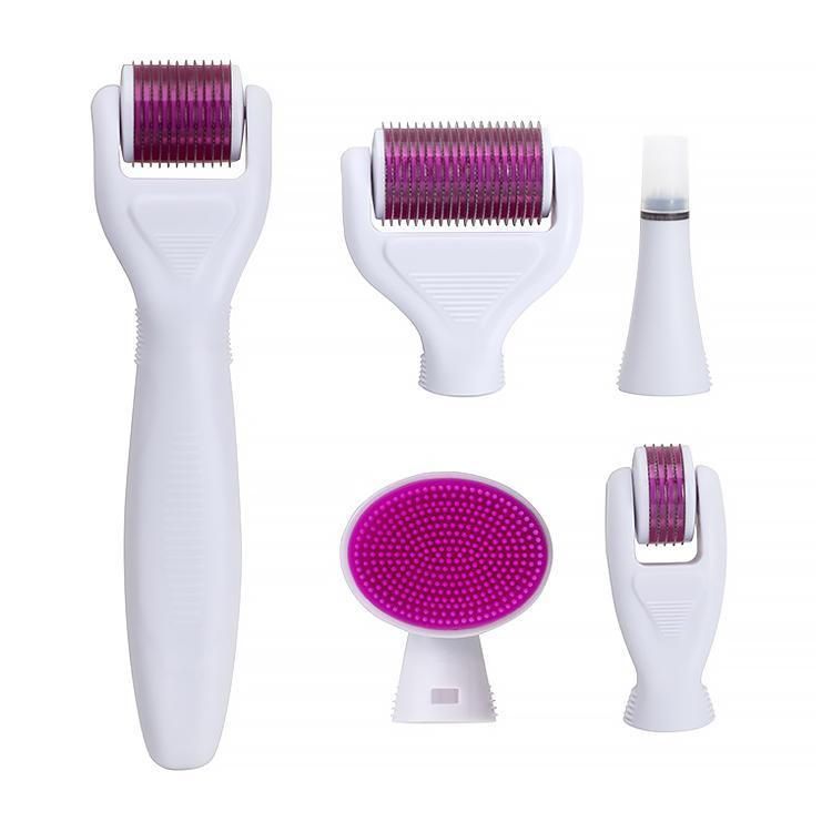 Micro Needle Roller Skin Care Machine 6 in 1 Suit