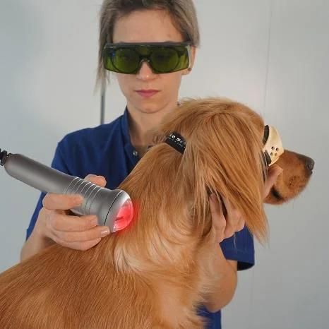 Yaser Diode Laser 1064nm Laser Physiotherapy Equipment Machine Higt Intensity Veterinary Laser Therapy Vet Laser