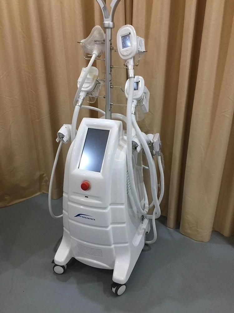 Etg50-5s Freezing Cryolipolysis Slimming Beauty Machine