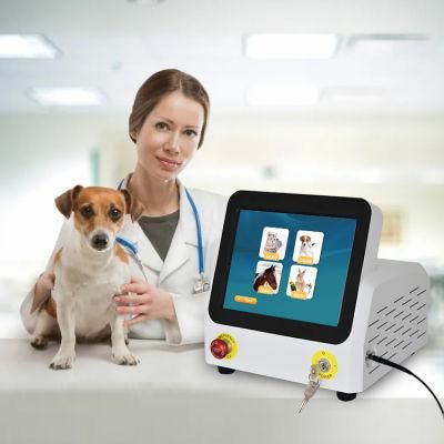 Diode Laser Pain Relief Therapy Surgical Veterinarian Veterinary Therapy