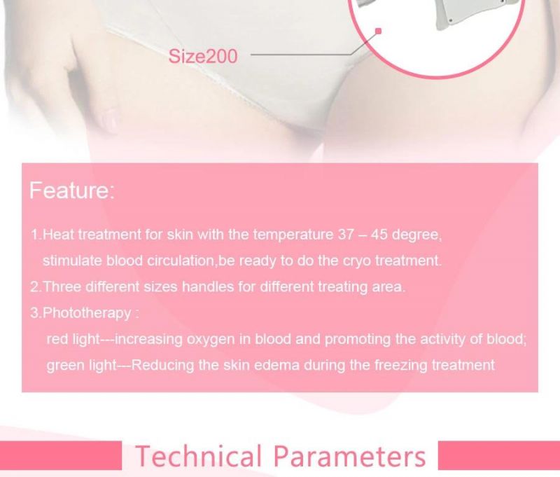 2015 High Quality Non Invasive to Loss Weight and Fat Dissloving Cryolipolysis Slimming Beauty Equipment (Etg50-3s)