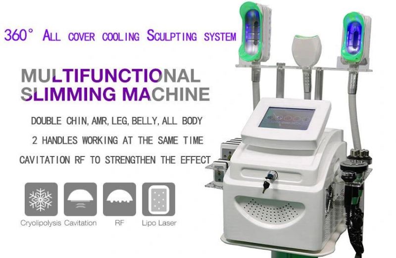 Cryo Body Slimming Criolipolisis Cryotherapy Machine Cryolipolysis for Weight Loss