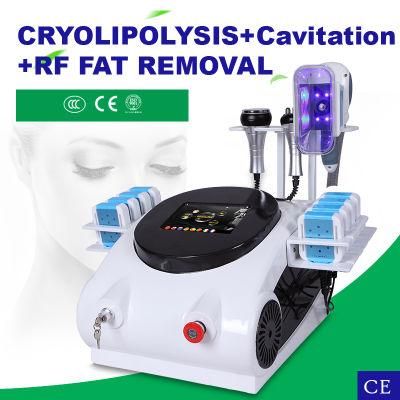 Lipo Laser Cryolipolysis Fat Freezing Cavitation RF Weight Loss Beauty Machine