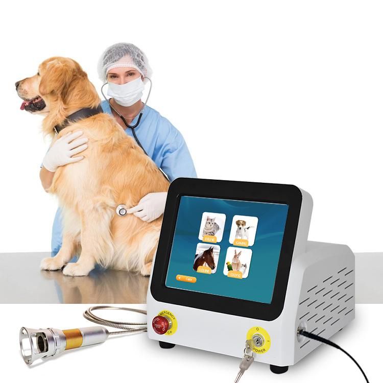 Diode Laser Pain Relief Therapy Surgical Veterinarian Veterinary Therapy