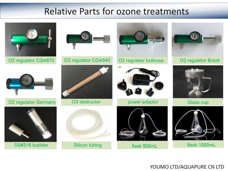 Sterilize Ozone Therapy Equipment/Medical Ozone Generator/Therapy Machine