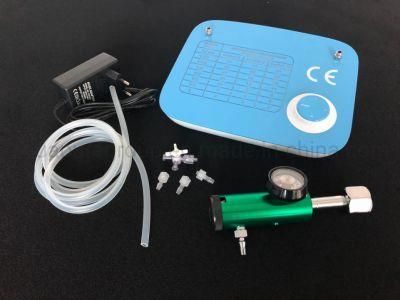 Portable Mini 300mg/H 24 Hour Running Ozone Therapy Machine Generator