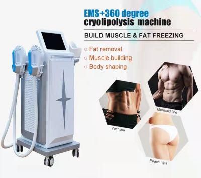 Fat Reduction and Muscle Building Emslim +Coolplas (2 in 1)