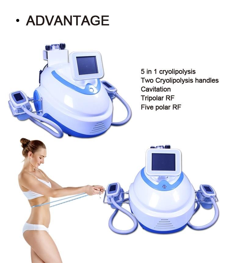 Cryolipolysis Cryotherapy Portable Slimming Cryoslimming Machine Vacuum Cryo 360 System