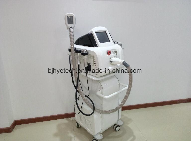 Ce Approval Cryolipolysi Slimming Machine with 4 Handles for Loss Weight