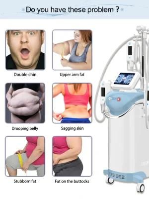 Cryotherapy Machine for Slimming with -13 Degree 360 Degree Handle Cryolipolysis 360 Beauty Machine
