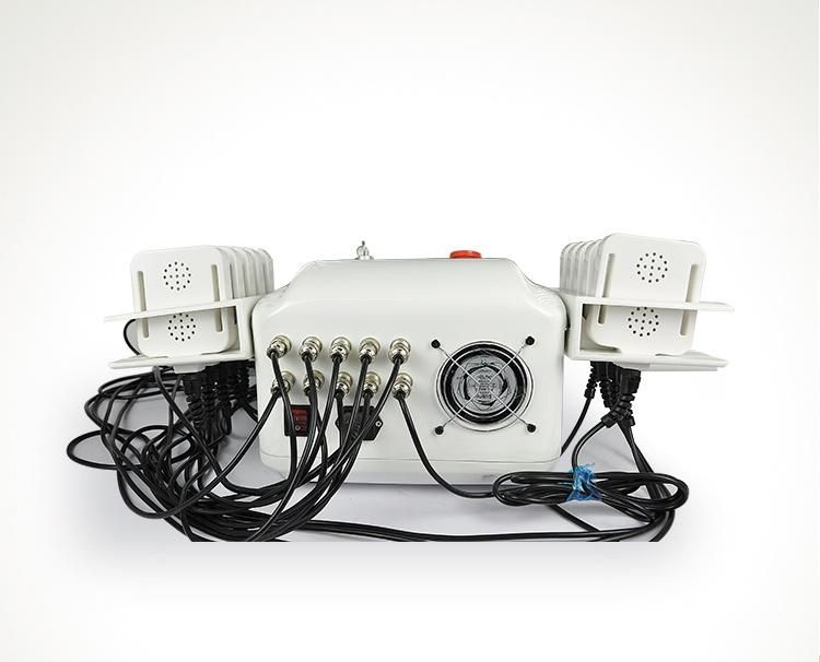 650- 980nm Lipo Laser Slimming Machine with 10 Paddles