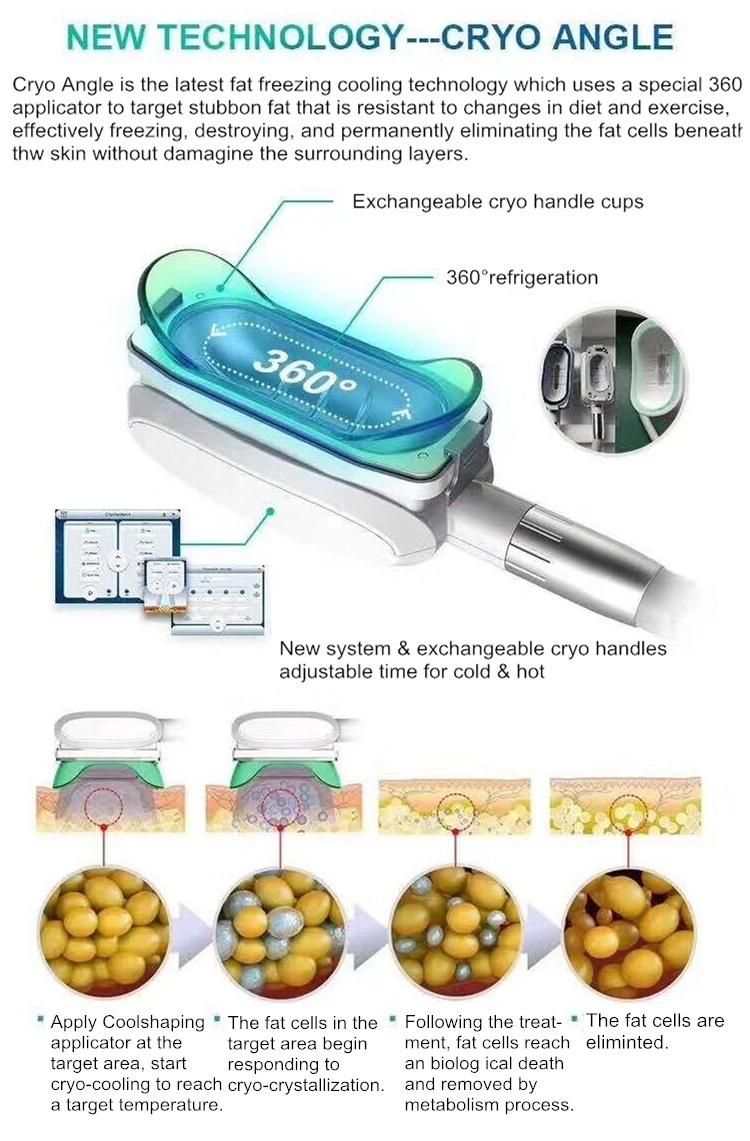 Hot Selling Products 2021 Factory Price 360 Criolipolisis Machine Cryolipolysis/ Fat Freezing Machine