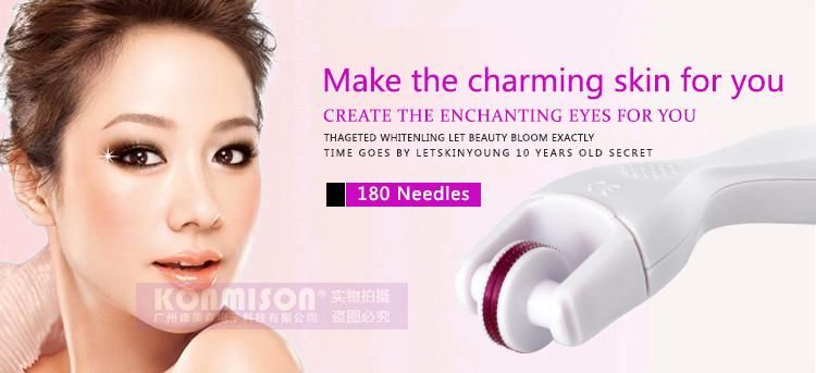 Portable Microneedle Roller 3 in 1 Titanium Zgts Derma Roller