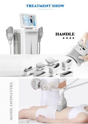 Newest Professional Fat Freezing Croyoly Therapy New Technology 360 Degree Body Sculpting Machine