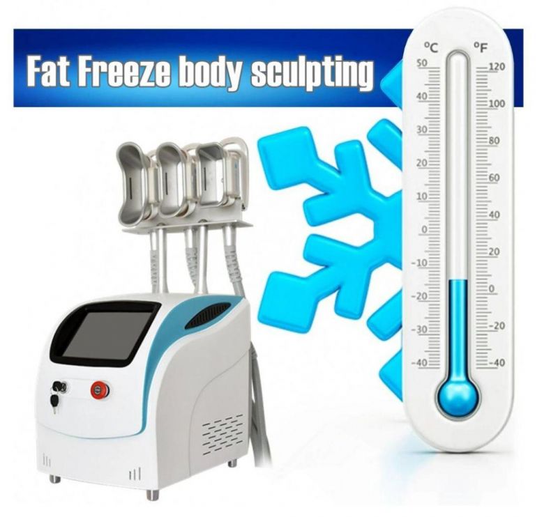 Cryolipolysis Fat Freeze Slimming Machine Vacuum Suction Cavitation RF Devices