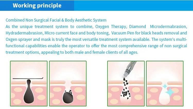 9 in 1 SPA Oxygen Bio Facial Aqua Skin Peeling Facial Skin Deep Cleaning Blackhead Removal Beauty Machine Hydra