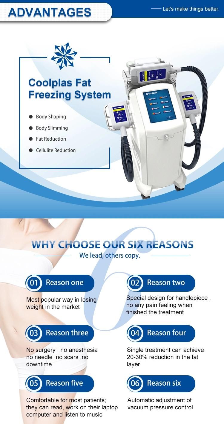 3 Handles Fat Freezing Freeze Cryotherapy Body Contouring Machine for Sale