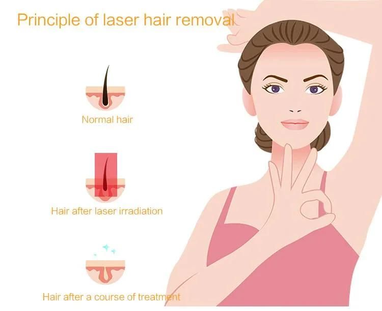 Factory Price Beauty Equipment High Power Laser Machine Triple-Wave Diode Laser Hair Removal Machine