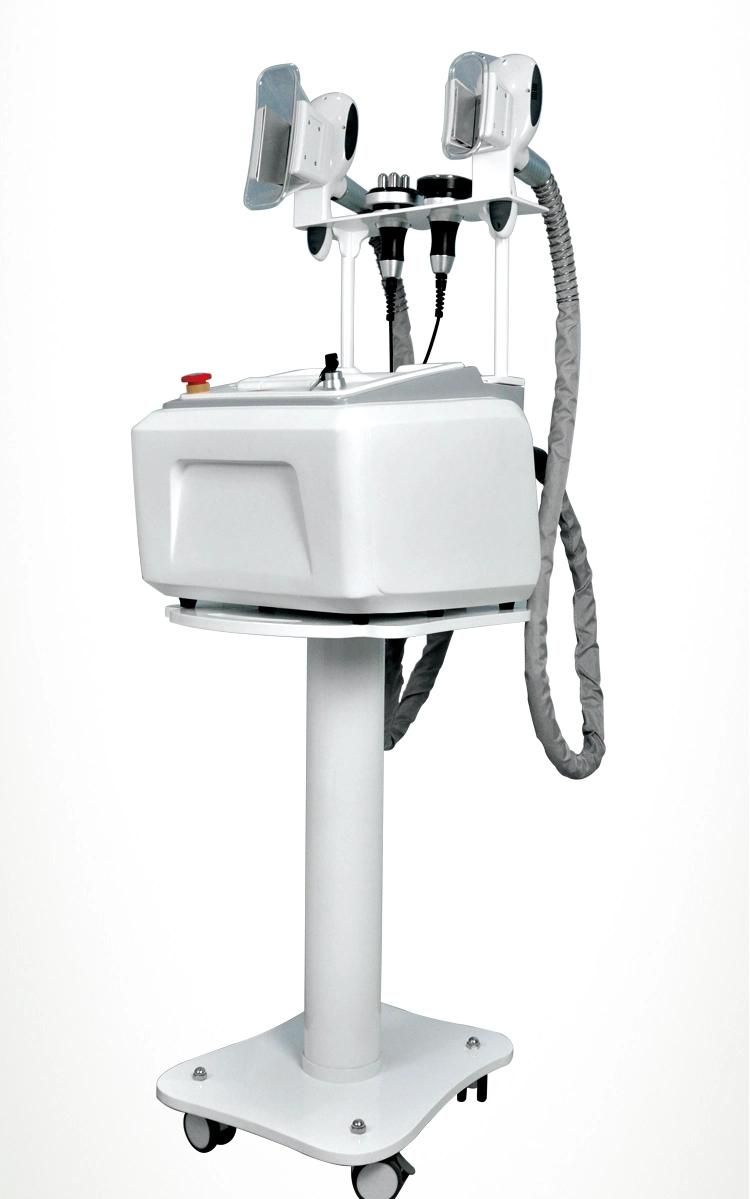 Renlang Cavitation Vacuum Body Slimming Machine Cryolipolysis Machine