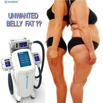 Sincoheren Weight Loss Cellulite and Fat Removal Cryolipolise Slimming Machine Price