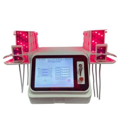 5D Lipo Laser Slimming 650nm Laser Lipo Fat Burning Cellulite Removal Japan Mitsubishi Diodes Lipolaser Slimming