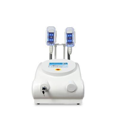 Renlang Cryolipolysis System Portable Vacuum Body Slimming Fat Freezing Machine