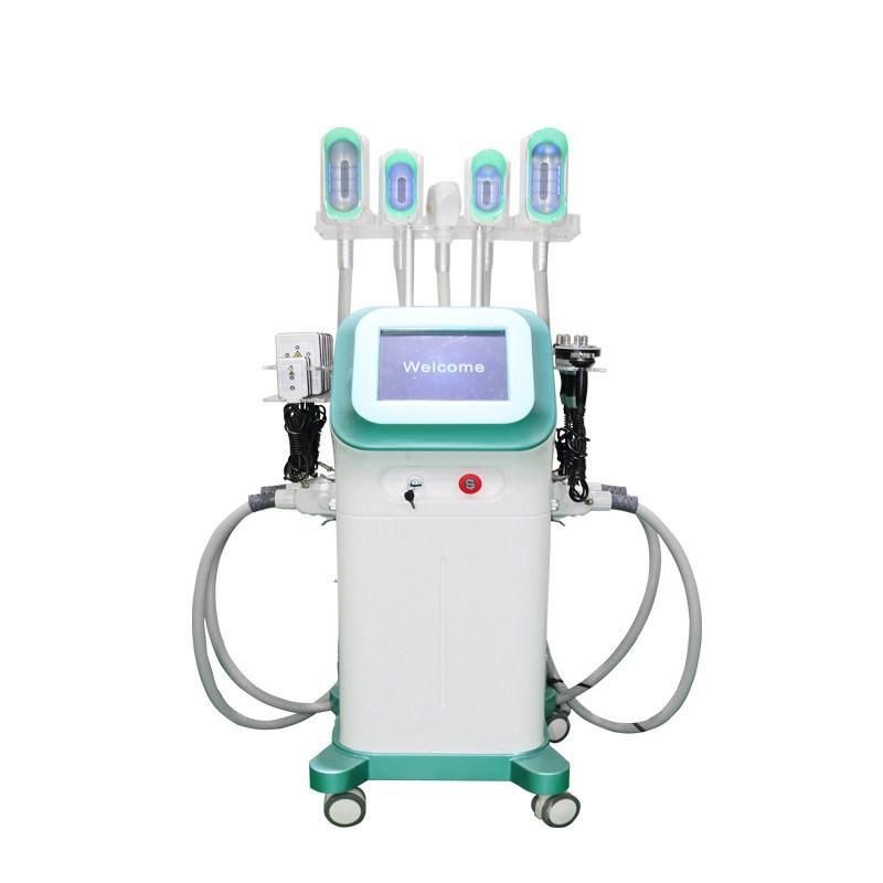 Hot Selling Products 2021 Factory Price 360 Criolipolisis Machine Cryolipolysis/ Fat Freezing Machine