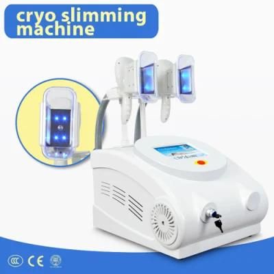 Portable Cryotherapy Fat Freezing Weight Loss Beauty Machine for Sale