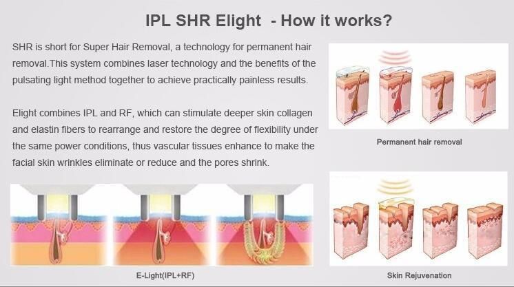 IPL Comprehensive Skincare Wrinkles Removal Beauty Machine