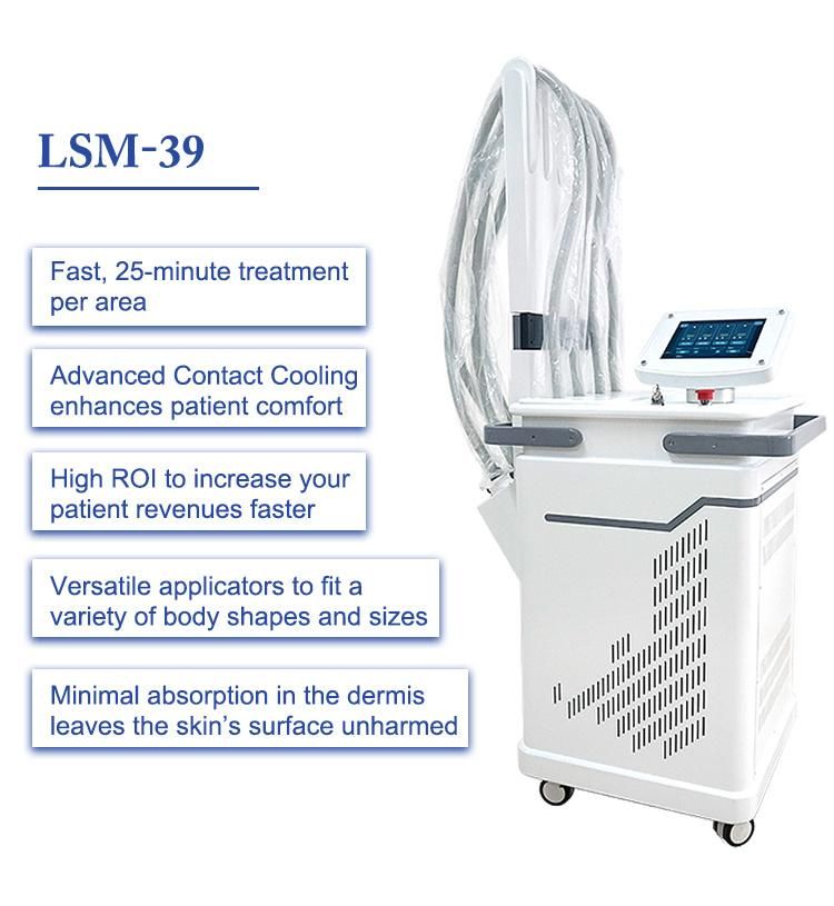 Factory Price 1060nm Diode Laser Slim Machine Body Shaping Fat Loss Cellulite Removal Salon Beauty Equipment Lsm39