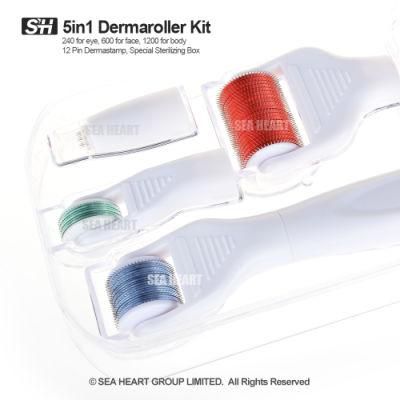 Portable 5 In1 Facial Derma Roller Kit for Home Use