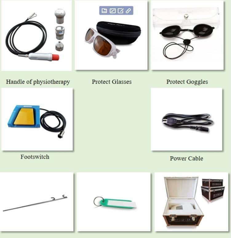 2022 Best Sale 980nm Diode Soft Laser Medical Veterinary Animal Physiotherapy Physical Therapy Equipment