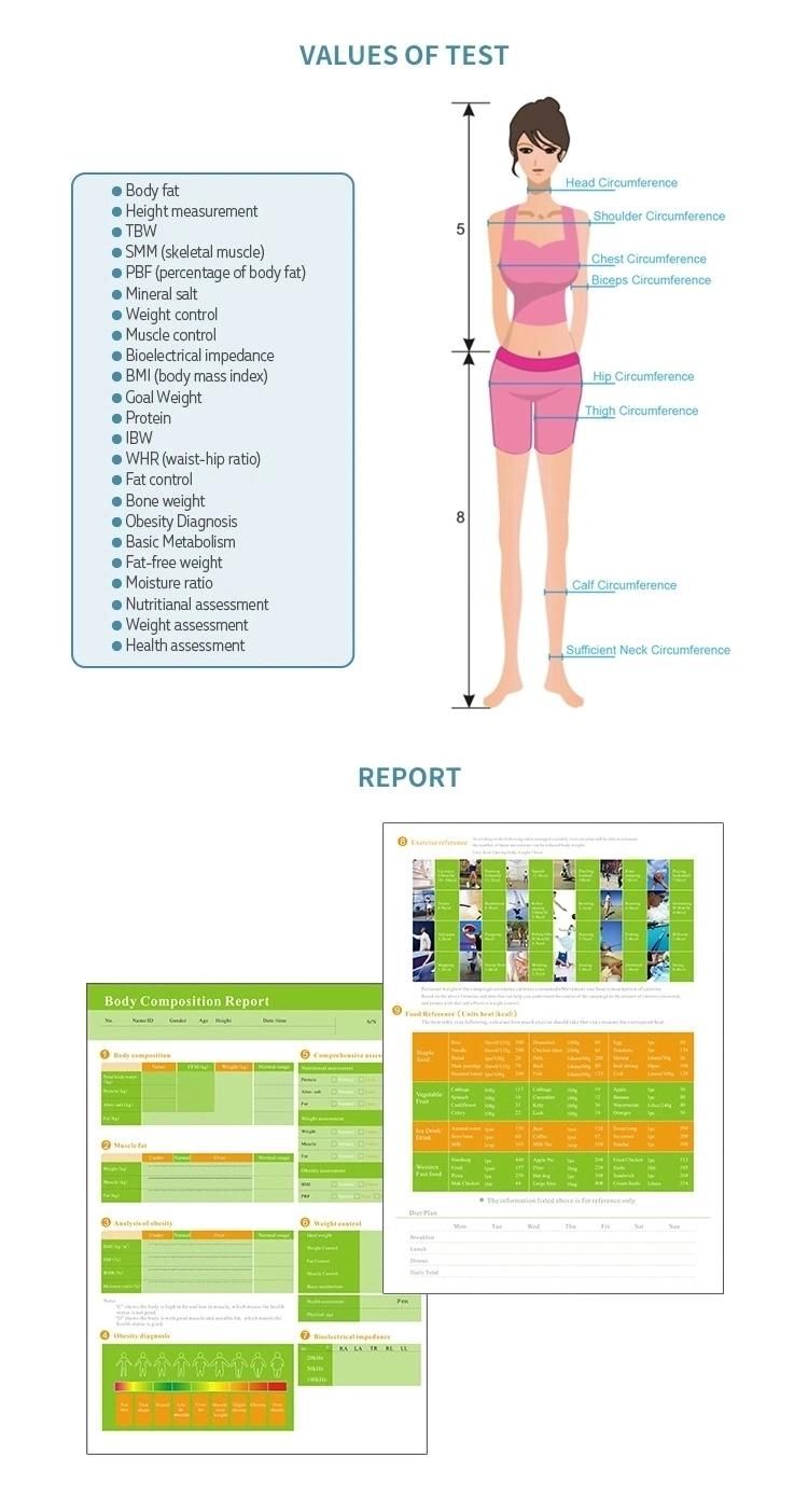 Best Body Composition Analyzer Machine/Body Health Analysis