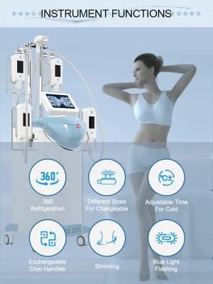 Newest for Freeze Fat to Slim with 5 Cryotherapy Handles Cryolipolysis Machine 360