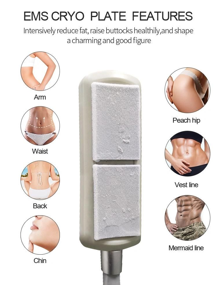 Effective Body Cryolipolysis Pads Cryotherapy Beauty Machine with EMS Slimmming