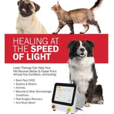 New Design Laser Therapy in Veterinary Medicine Therapy