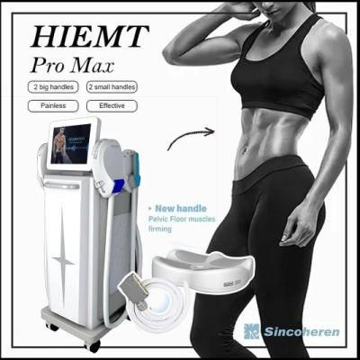 Emslim Muscle Trainer Body Contouring Fat Burning Device for Fitness