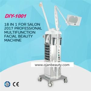 18 In1 Facial Beauty Equipment for Beauty Salon
