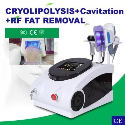 3 in 1 Cryolipolysis Cavitation RF Body Slimming Machine