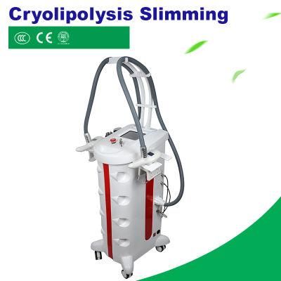 Wholesale Fat Freeze Slimming Machine Cryolipolysis for The Body Cellulite Reduction Machine