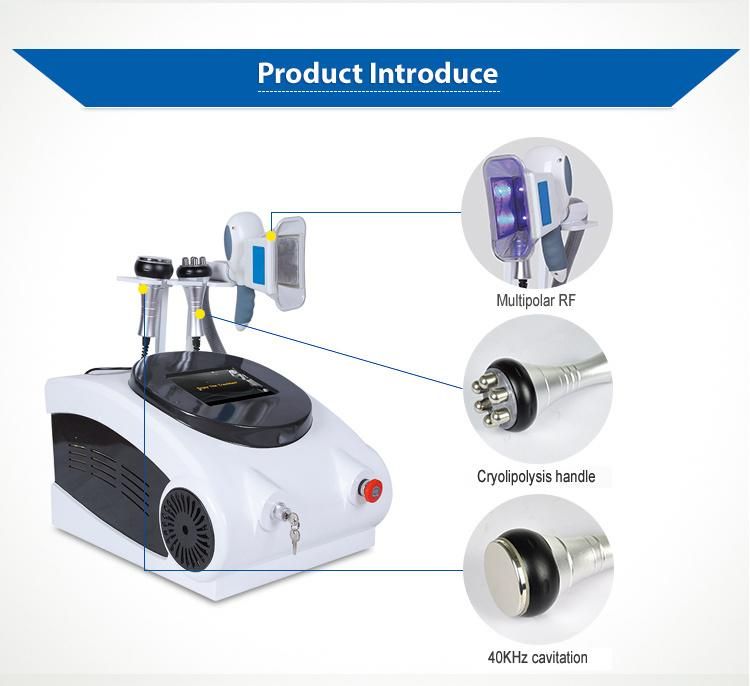 New Design Mini Portable Cryolipolysis Antifreeze Pad Weight Loss Slimming Machine for Clinic Use