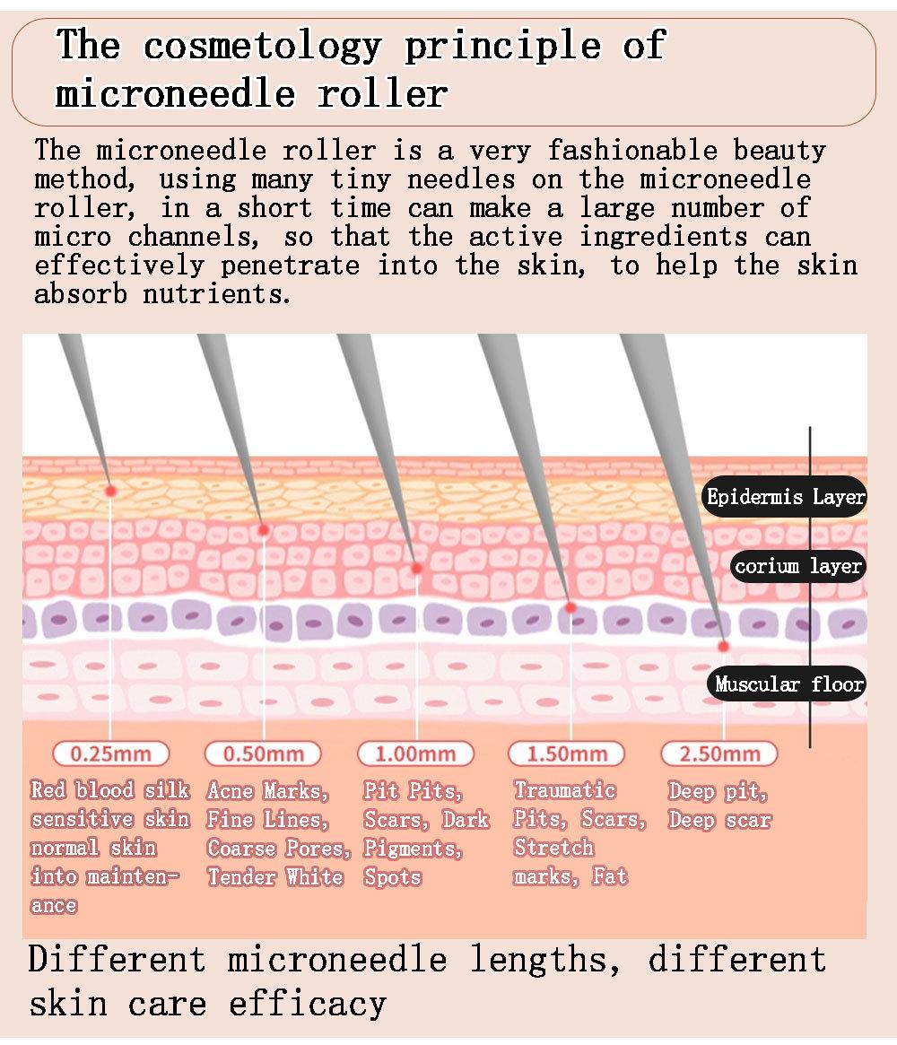 Titanium 3.0mm 192 Microneedle Derma Roller for Skin Care
