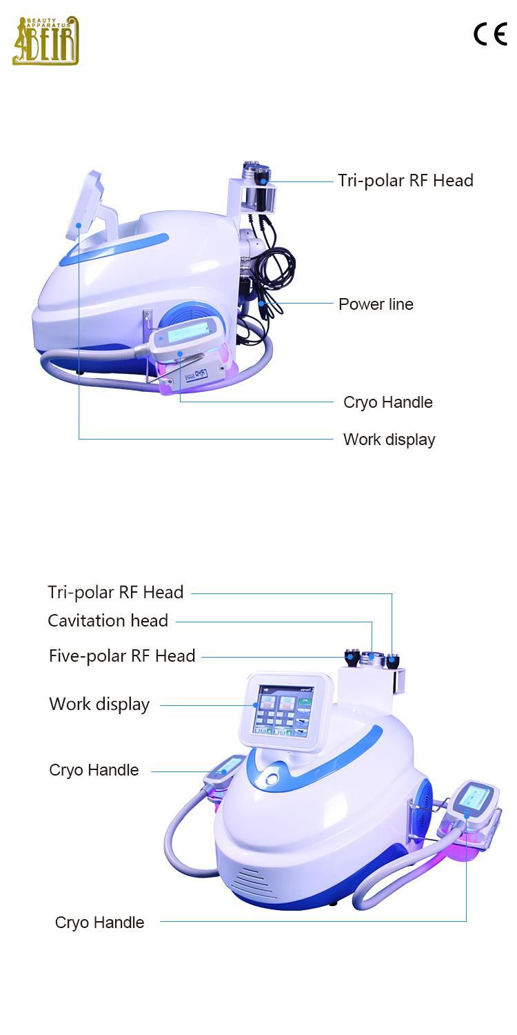 Kryolipolyse Criolipolisis Mquina Machine Dubbele Kin Double Chin Sculpting Products