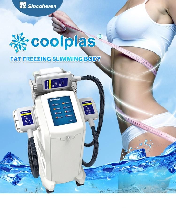 3 Handles Fat Freezing Freeze Cryotherapy Body Contouring Machine for Sale