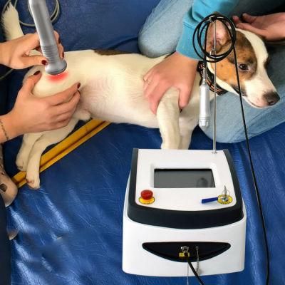 Yaser Diode Laser 1064nm Machine 980nm Laser Machine Veterinary Physiotherapy Equipment Vet Laser