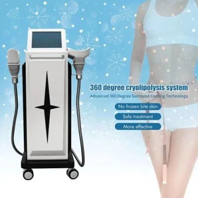CE Approved Body Slimming Weight Loss 360 Cryolipolysis Fat Freezing Machine