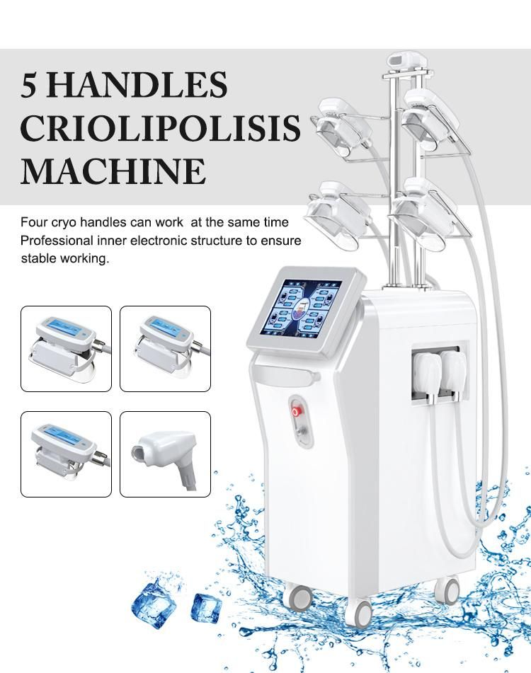 5 Handles Cryolipolysis Body Slimming Machine Double Chin Treatment Non Surgical Body Contouring Equipment Cryotherapy Reduce Cellulite Salon Device Ctl80-5s