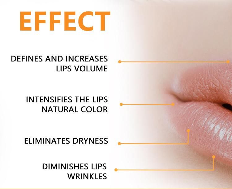 Lips Boosting Roller System Serum Stimulates Collagen Production & Skin Regeneration