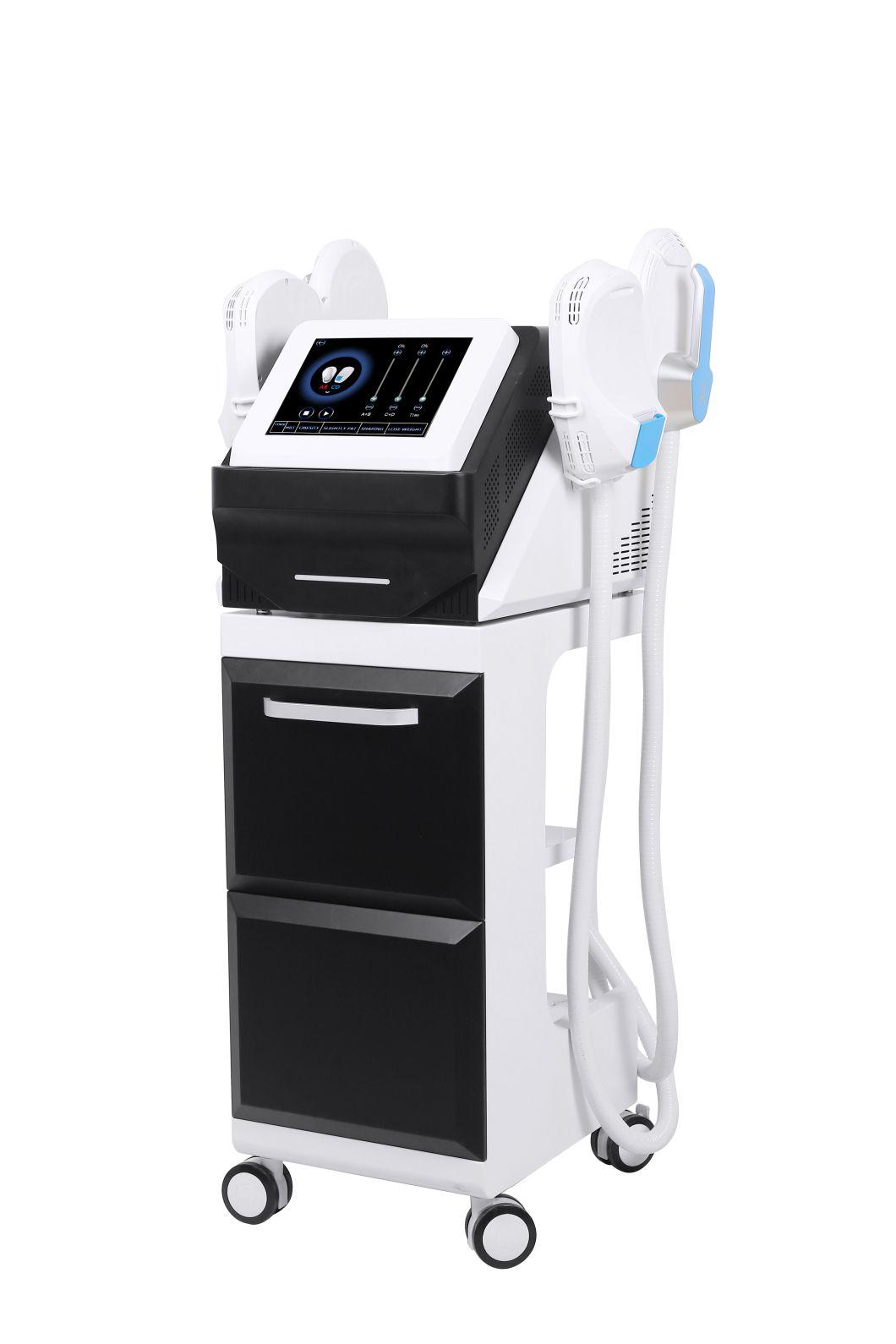 4 Cryo Handles EMS Slimming Cryotherapy Pad Beauty Cryo Fat Reduce Machine