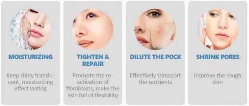 High-Quality Negative Pressure Injection Skin Moisturizing Injector Hair Growth Prp Mesogun 9 Pins Automatic Hyaluronic Multi Needle Mesotherapy Gun
